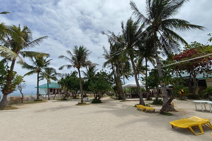 Mactan Island Hopping: Nalusuan & San Vicente Marine Sanctuary Day Trip photo 5