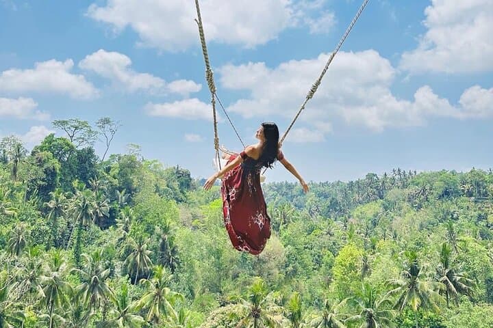 Ubud Bali Swing, Monkey Forest & Waterfall Private Tour — Tegalalang, Kanto Lampo & Tibumana Day Trip