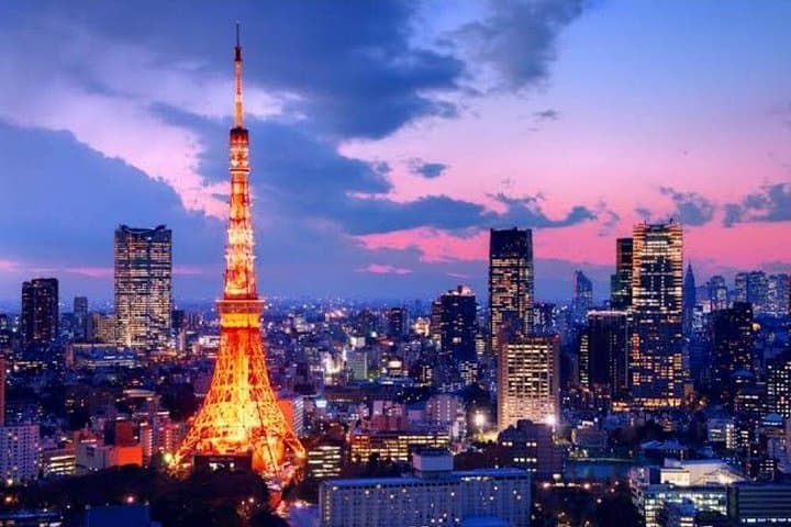 Private Tokyo Car Tour: 6-Hour Custom City Highlights with English Driver photo 1