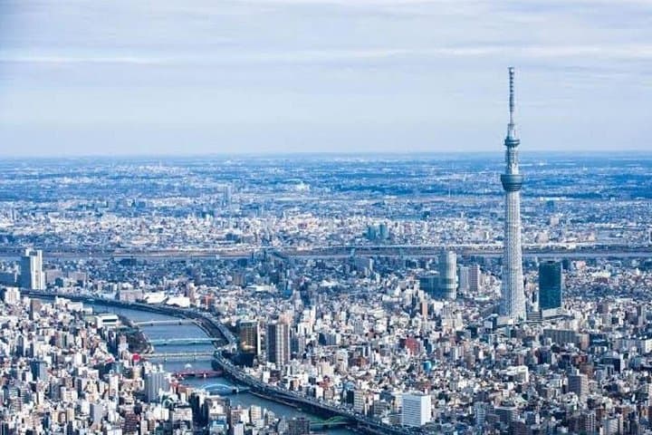 Private Tokyo Car Tour: 6-Hour Custom City Highlights with English Driver photo 2