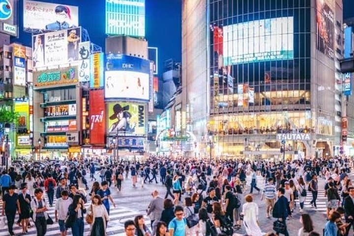 Private Tokyo Car Tour: 6-Hour Custom City Highlights with English Driver photo 3
