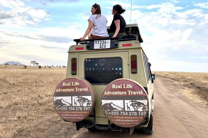 4-Day Fly-In Safari from Zanzibar to Selous National Park (Nyerere)