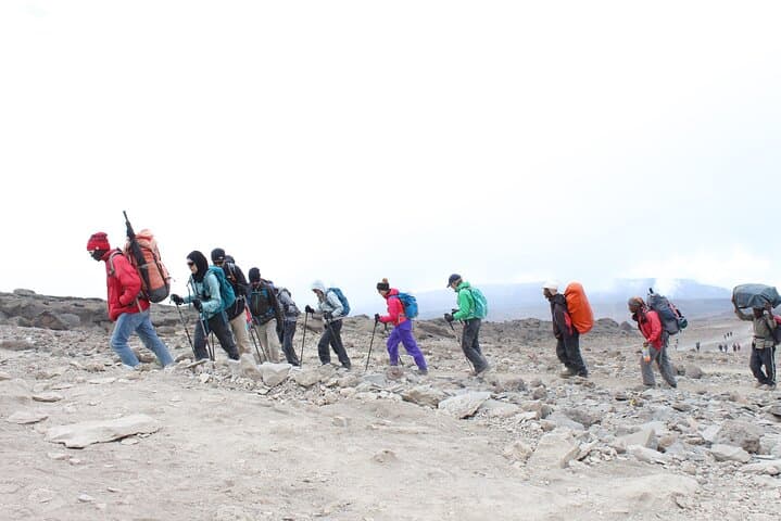 11-Day Kilimanjaro Lemosho Route: Premium Luxury Trek to Uhuru Peak photo 3