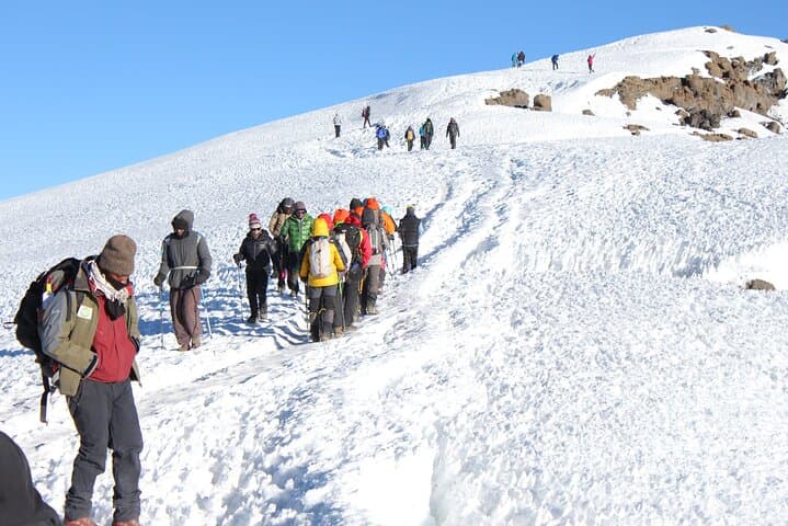 11-Day Kilimanjaro Lemosho Route: Premium Luxury Trek to Uhuru Peak photo 4