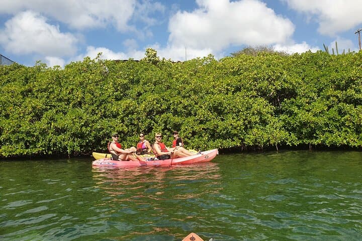 Paddle Mangel Halto & Spanish Lagoon — Kayak and Snorkel in Aruba photo 3