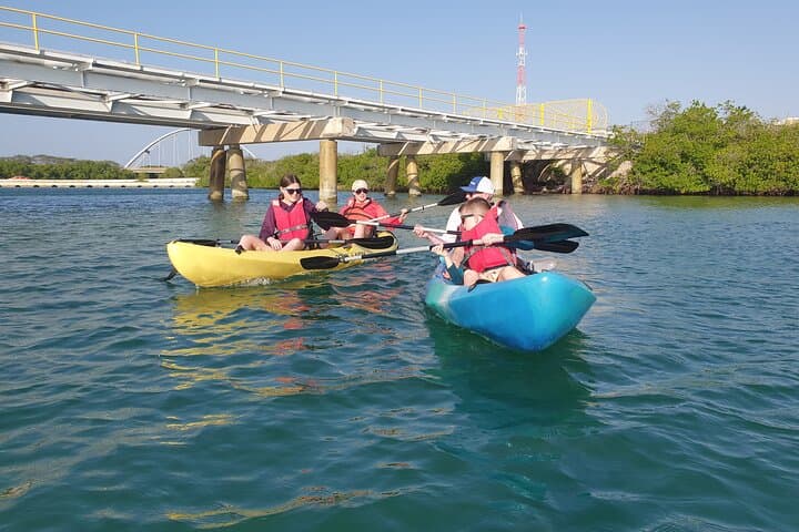 Paddle Mangel Halto & Spanish Lagoon — Kayak and Snorkel in Aruba photo 6
