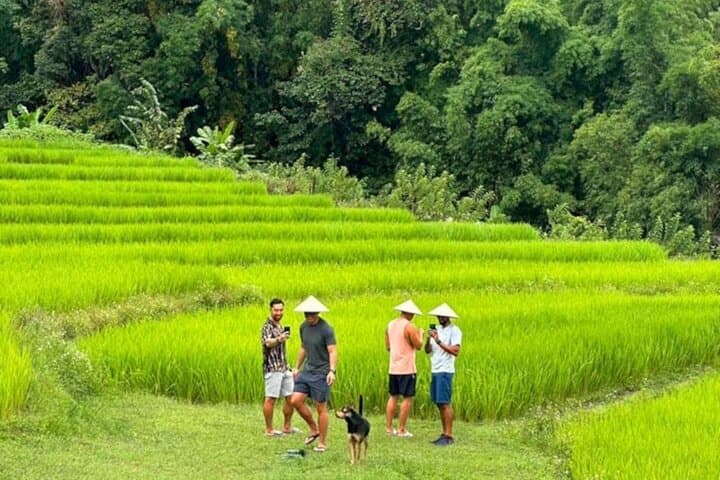 Doi Inthanon Full-Day Trek: King's & Queen's Pagodas, Pha Dok Siew Trail photo 2