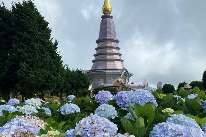 Doi Inthanon Full-Day Trek: King's & Queen's Pagodas, Pha Dok Siew Trail photo 6