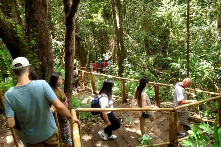 Doi Inthanon Full-Day Trek: King's & Queen's Pagodas, Pha Dok Siew Trail photo 4