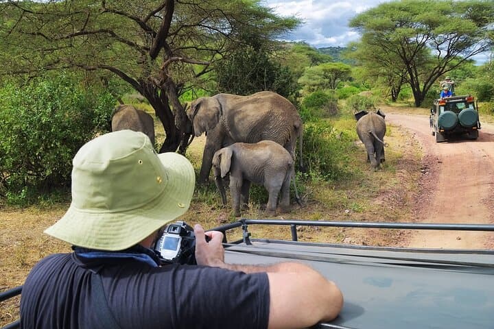 4-Day Tanzania Safari: Serengeti, Ngorongoro & Lake Manyara photo 3