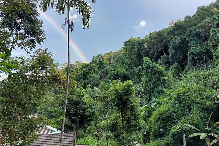 Chiang Mai Doi Suthep to Sticky Waterfall: Full-Day Temple and Jungle Climb photo 4