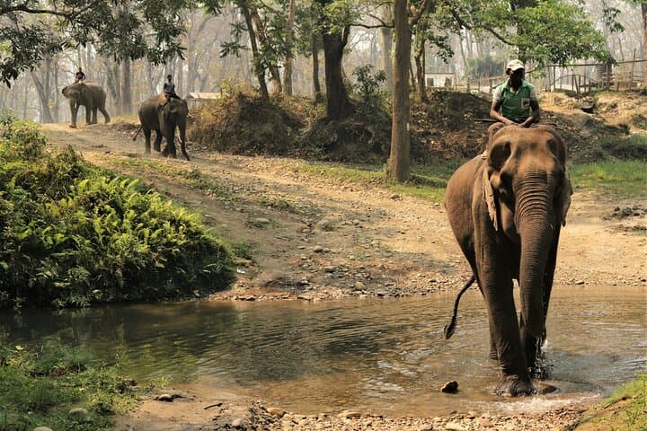 Golden Triangle Nepal: 8-Day Kathmandu, Chitwan & Pokhara Cultural and Wildlife Tour photo 2