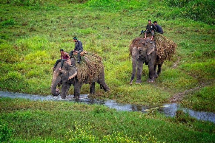 Golden Triangle Nepal: 8-Day Kathmandu, Chitwan & Pokhara Cultural and Wildlife Tour photo 5