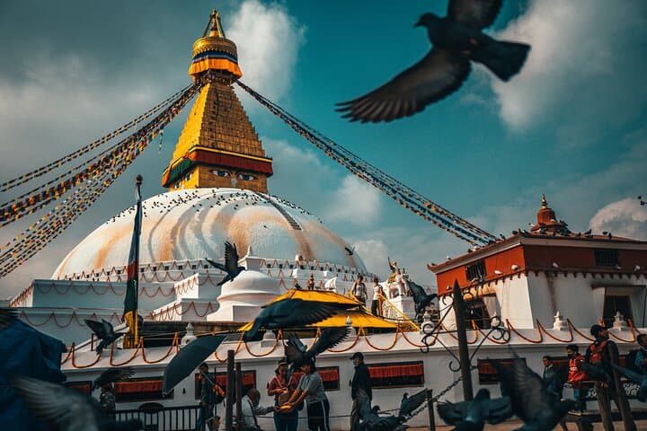 Golden Triangle Nepal: 8-Day Kathmandu, Chitwan & Pokhara Cultural and Wildlife Tour