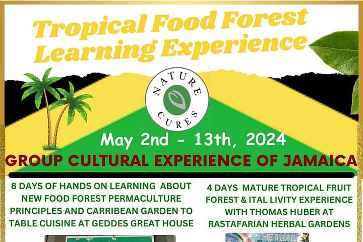NatureCures Tropical Food Forest 12-Day Jamaica Workshop & Cultural Tour photo 1