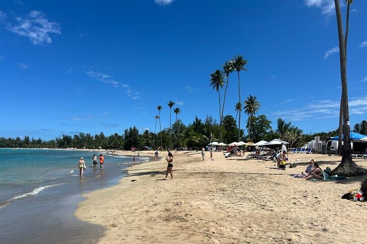 El Yunque Waterslides and Luquillo Beach: Rainforest Walk & Natural Pools photo 6