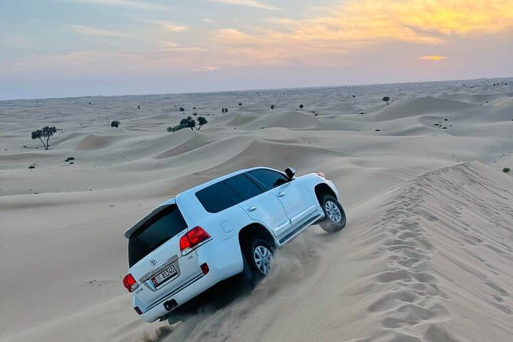 Abu Dhabi Private Dune Drive and Camel Farm Safari photo 6