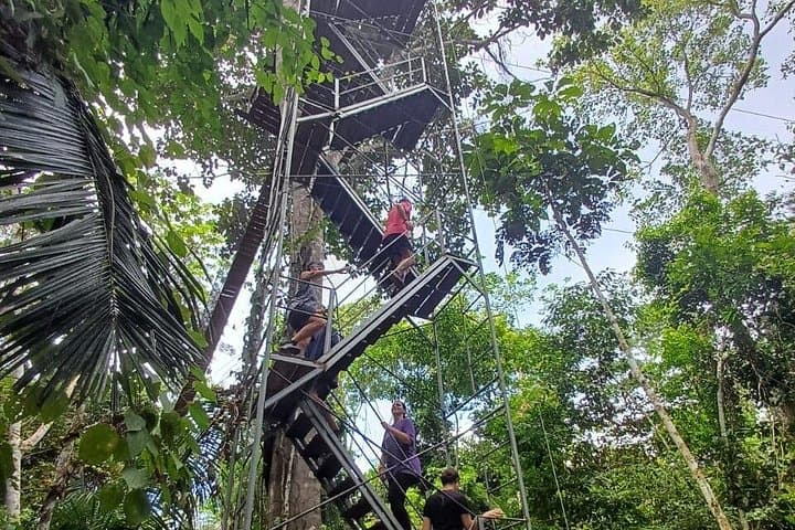 4-Day Tambopata Wildlife Adventure: Lake Sandoval, Canopy Bridges & Indigenous Visit photo 3