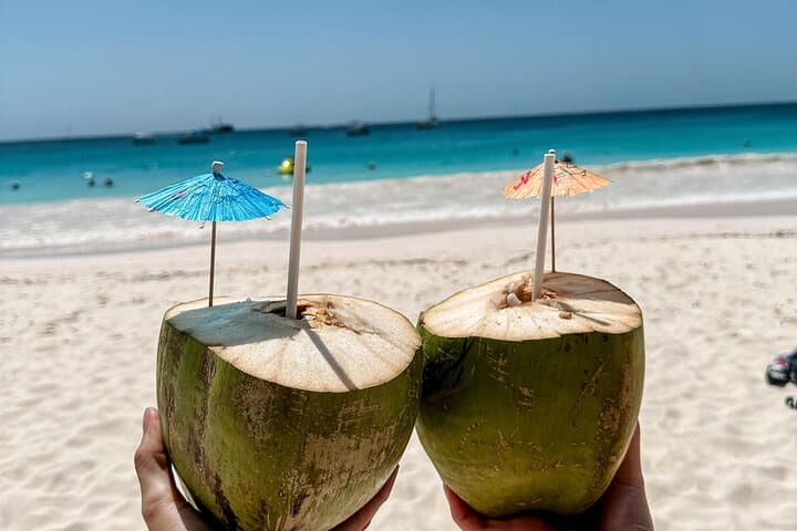 Barbados Carlisle Bay Beach Day & Turtle + Shipwreck Snorkel Cruise