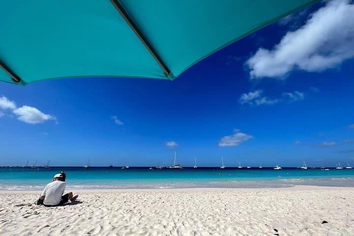 Barbados Carlisle Bay Beach Day & Turtle + Shipwreck Snorkel Cruise photo 2
