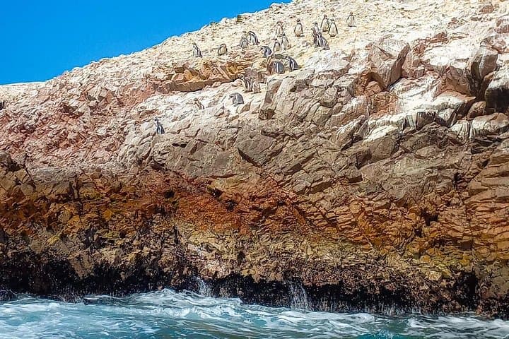 Ballestas Islands Cruise from Paracas — Penguins, Sea Lions & The Candelabro photo 4