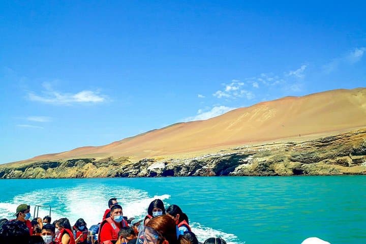 Ballestas Islands Cruise from Paracas — Penguins, Sea Lions & The Candelabro photo 2