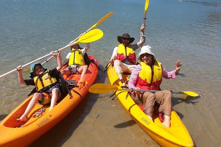 Paddle the Mangrove Estuary: Daytime Kayak Eco Tour near Coffs Harbour