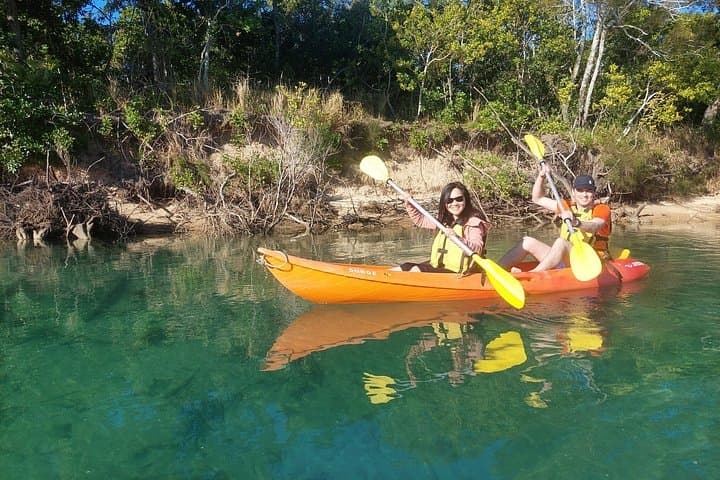 Paddle the Mangrove Estuary: Daytime Kayak Eco Tour near Coffs Harbour photo 3