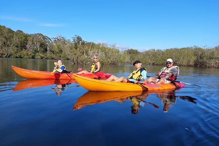 Paddle the Mangrove Estuary: Daytime Kayak Eco Tour near Coffs Harbour photo 2