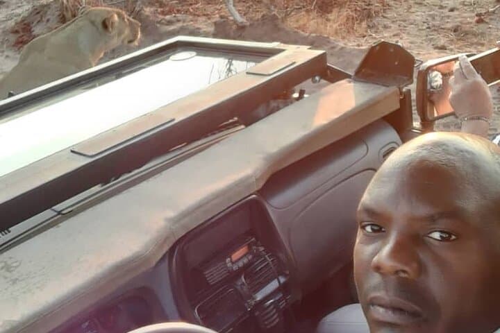 Full-Day Chobe Safari from Victoria Falls — Chasing Elephants in Chobe National Park photo 2