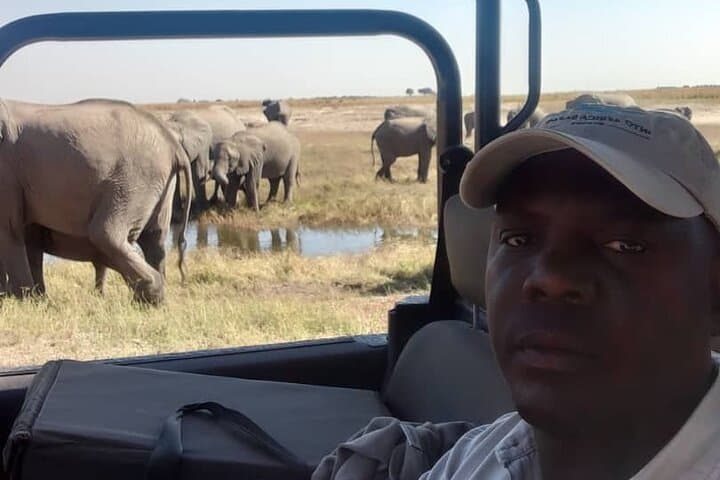 Full-Day Chobe Safari from Victoria Falls — Chasing Elephants in Chobe National Park photo 5