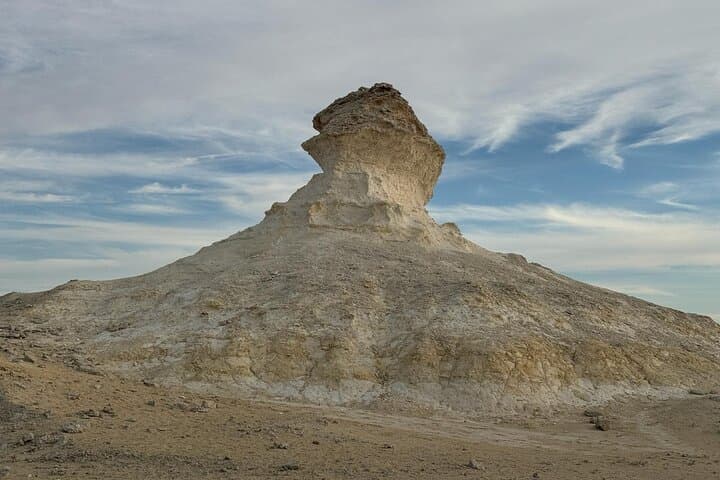West Coast Qatar: Al Sheehaniyah Camel Racetrack & Zekreet Private Tour