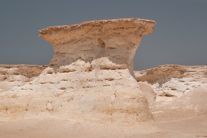 West Coast Qatar: Al Sheehaniyah Camel Racetrack & Zekreet Private Tour photo 6