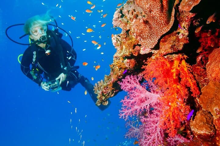 Beginner Beach Scuba Dive in Dubai: 2-Hour Guided Intro to the Arabian Gulf photo 6
