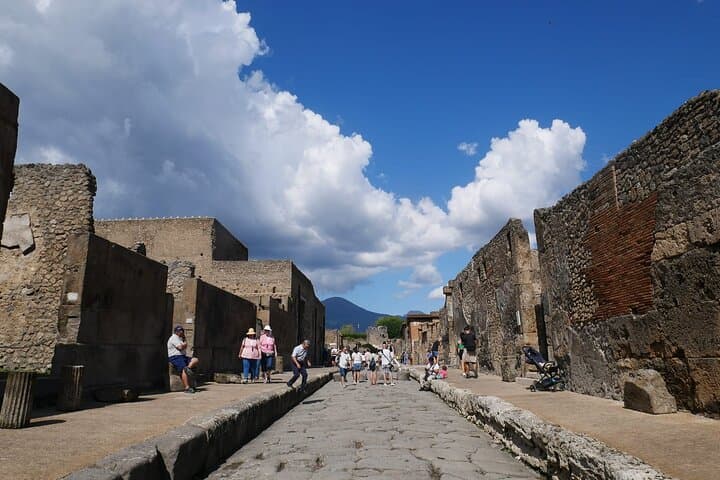 From Naples: Pompeii, Mount Vesuvius & Volcanic Wine Tasting Day Tour