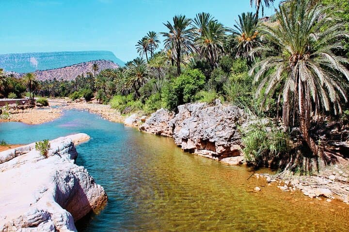Private Guided Day Trip: Paradise Valley & Taghazout from Agadir photo 2