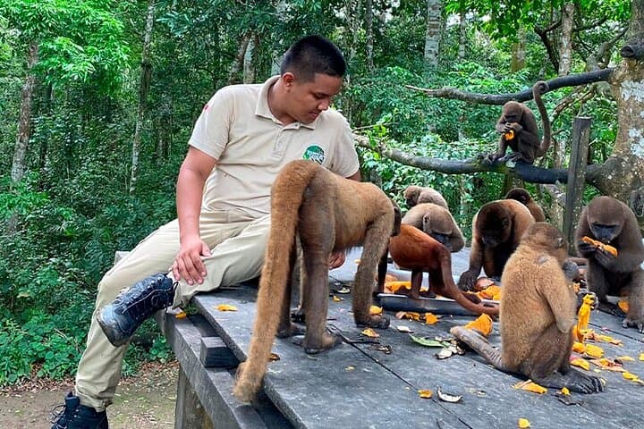 Monkey Island Amazon River Sunset Tour from Iquitos
