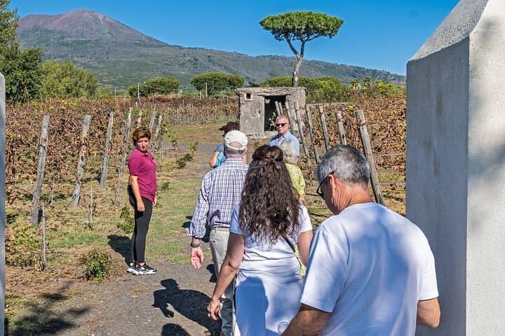 Hike Mt Vesuvius and Explore Pompeii: Day Tour from Naples with Lunch & Wine photo 4