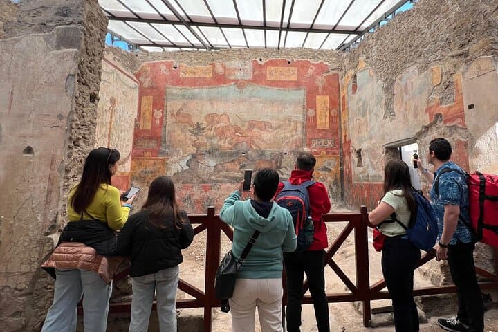 Hike Mt Vesuvius and Explore Pompeii: Day Tour from Naples with Lunch & Wine