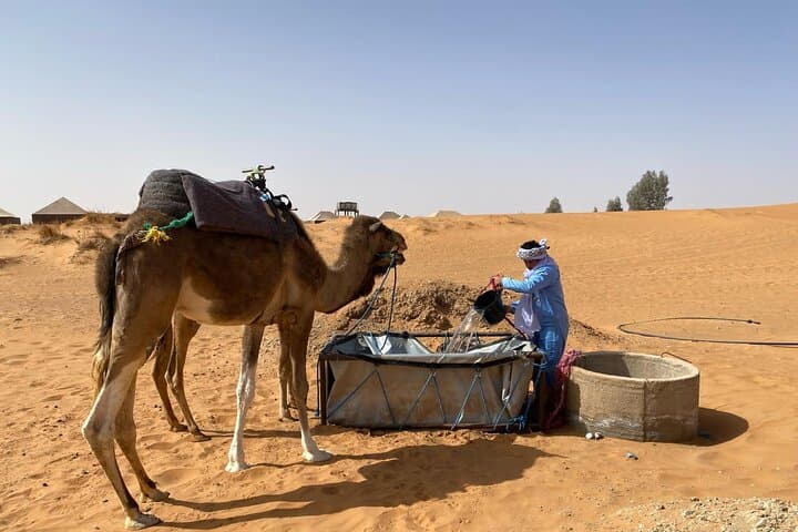 Full-Day Merzouga Camel Ride Across the Erg Chebbi Dunes photo 3