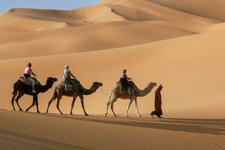 Dubai Red Dune Evening Safari: Dune Bashing, Camel Rides & BBQ Under the Stars photo 3