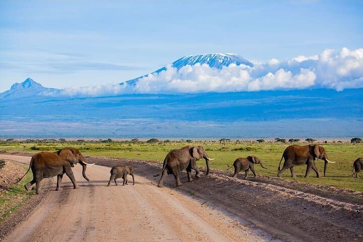 7-Day Kenya Safari: Masai Mara, Lake Nakuru & Amboseli Adventure