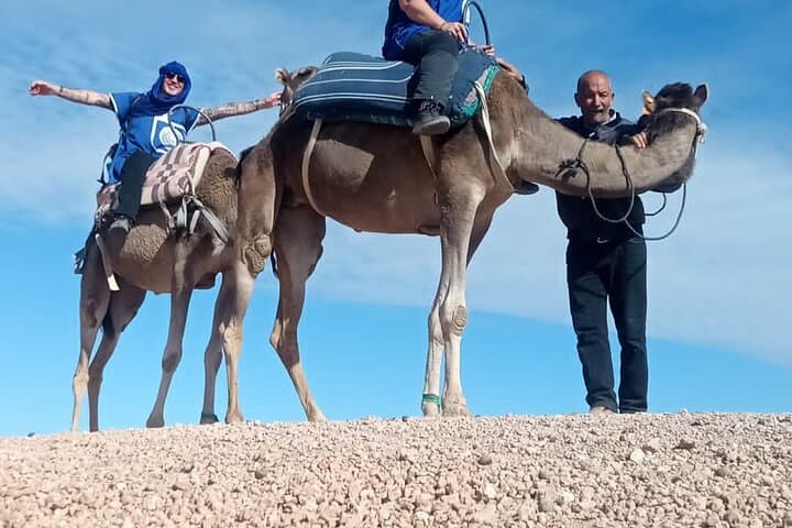 Private Agafay Desert Excursion from Marrakech — Camel Ride, Atlas Views & Argan Cooperative photo 2