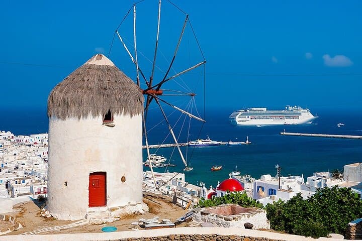 Cycladic Day Cruise to Delos & Mykonos from Naxos photo 5