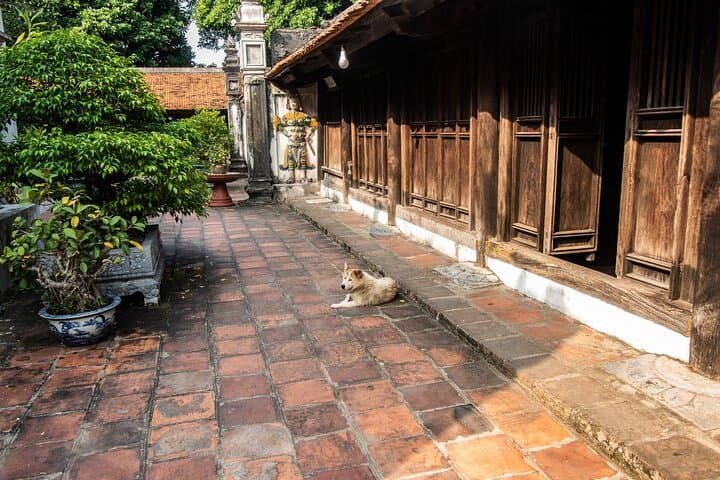 Hai Phong Highlights: 2-Hour Cultural & Historical Walking Tour photo 3