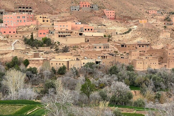 10-Day Atlantic Coast and Desert Morocco Tour from Casablanca — Essaouira to Merzouga photo 4