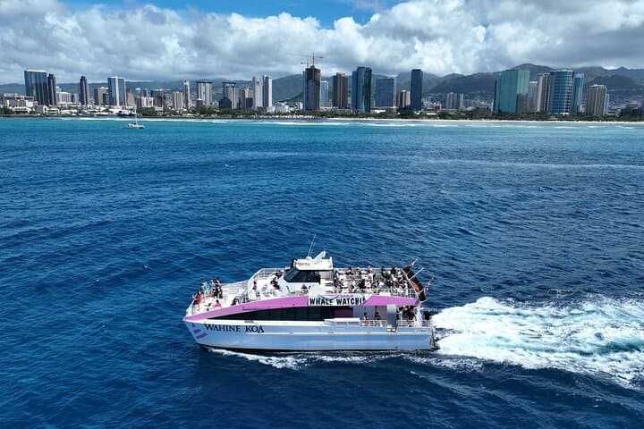 Waikiki Sunset Whale Watch Cruise — Guaranteed Sightings & Best Viewing Tips