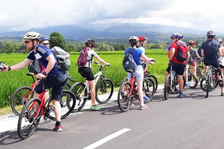 Lombok Easy Biking Tour: Suranadi Rice Fields, Springs & Lingsar Market photo 3