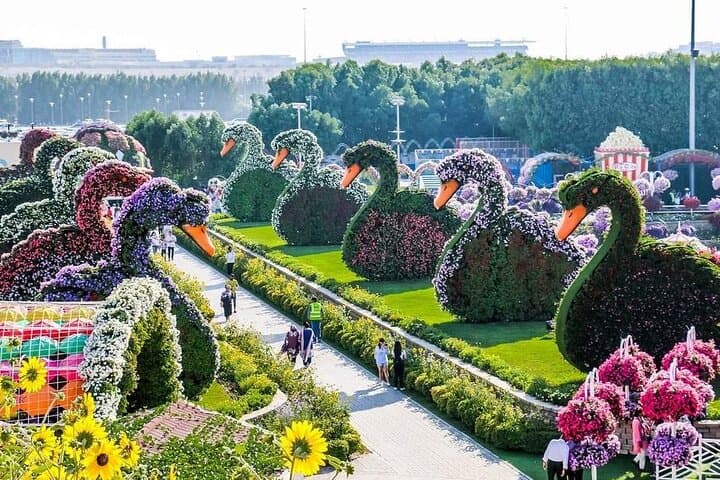 Dubai Miracle Garden: Touring 45 Million Flowers in Al Barsha