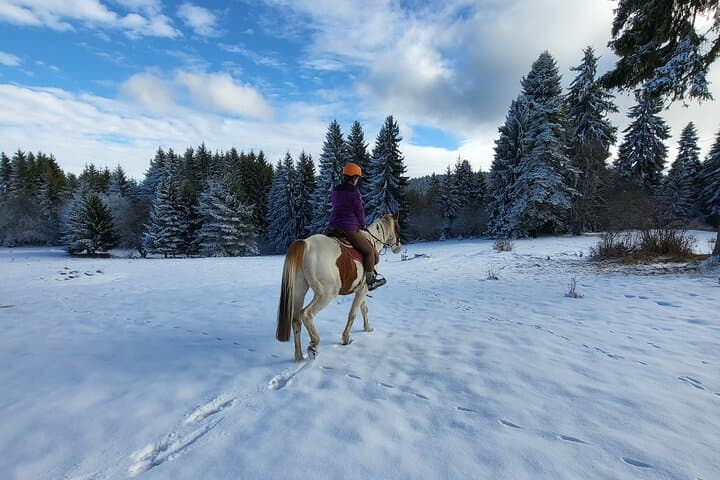 Horseback Riding in Borovets: Rila Forest Trails & Beginner-Friendly Ranch Ride photo 4
